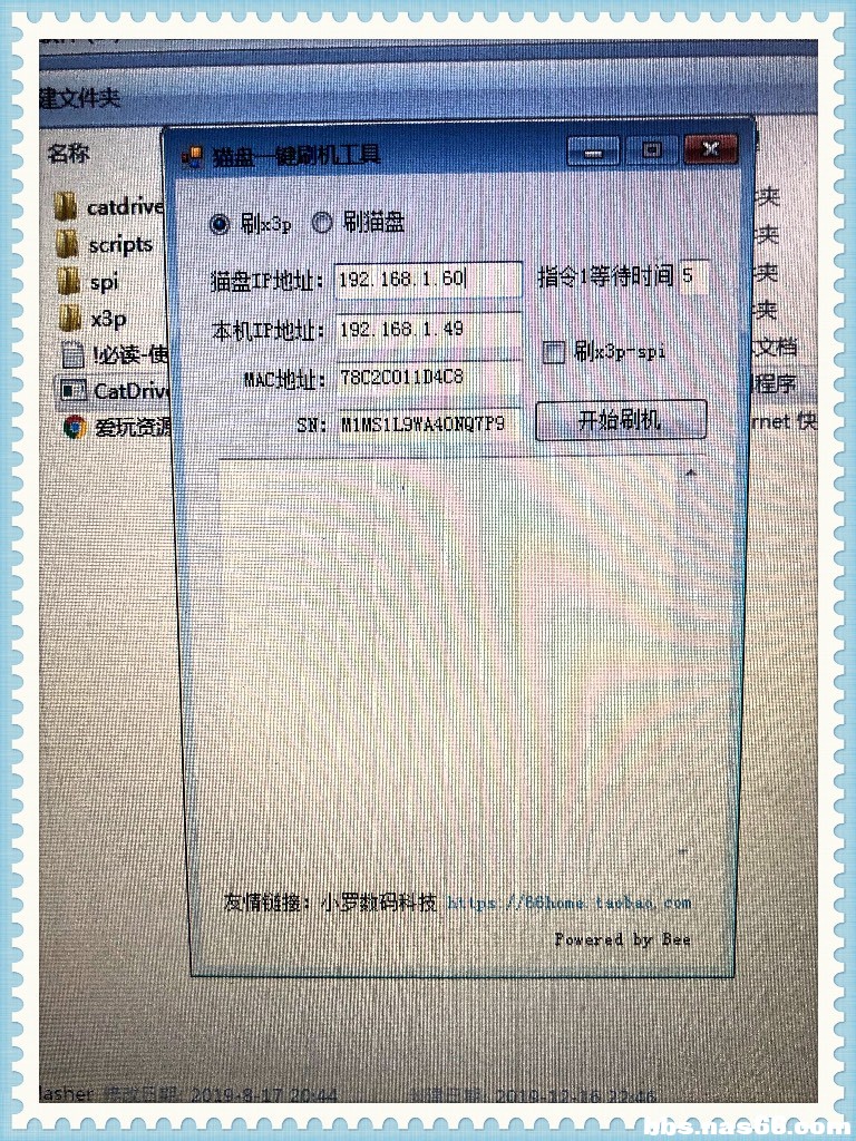 catd12.jpg