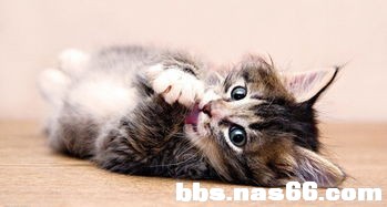 124756d1hs86tmzbims7bb.jpg