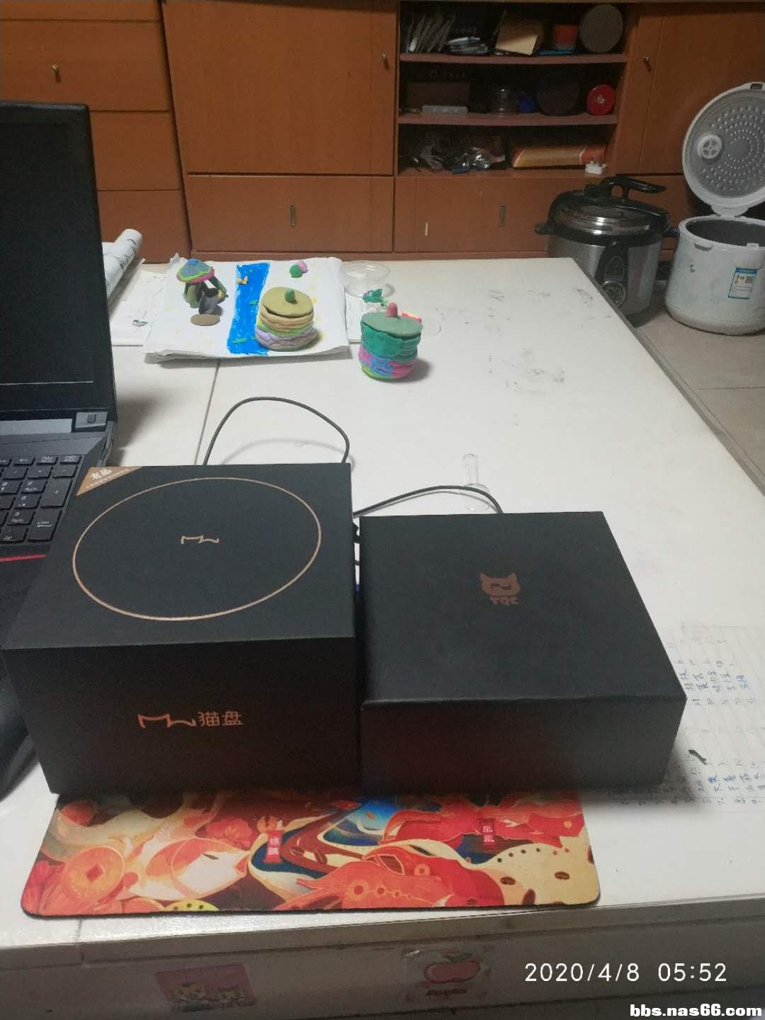 鱼上收的猫盘和泰奇猫